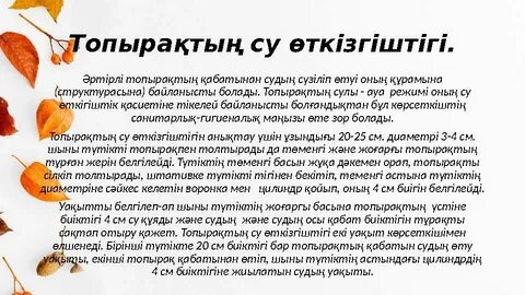 Ұмытылмас секс ең жақсы позициялар