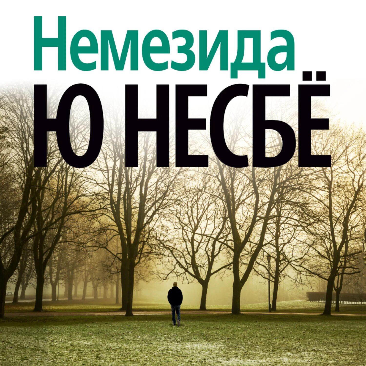 Аудиокнига ю ю