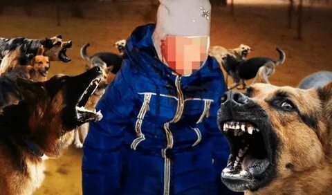Собака нападает на ребенка видео