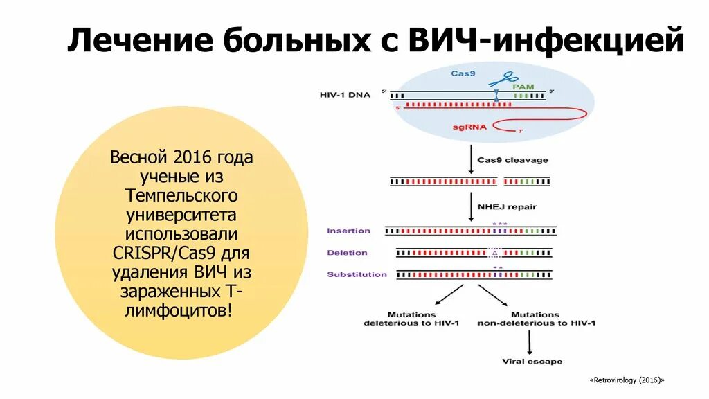 Биохимия и микробиология. CRISPR cas9 ВИЧ. CRISPR cas9 для лечения ВИЧ. Лечение ВИЧ инфекции микробиология. Микробиология и биохимия.