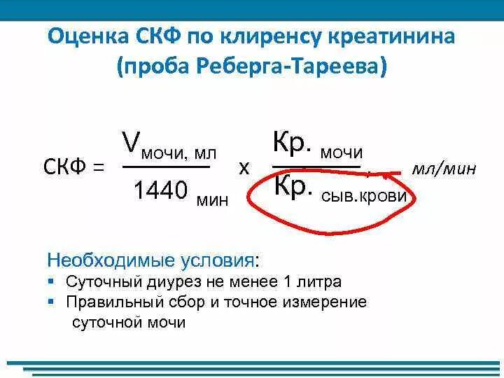 Скорость клубочковой фильтрации проба Реберга. Проба Реберга формула клубочковой фильтрации. Методика исследования пробы Реберга Тареева. Проба Реберга формула расчета.