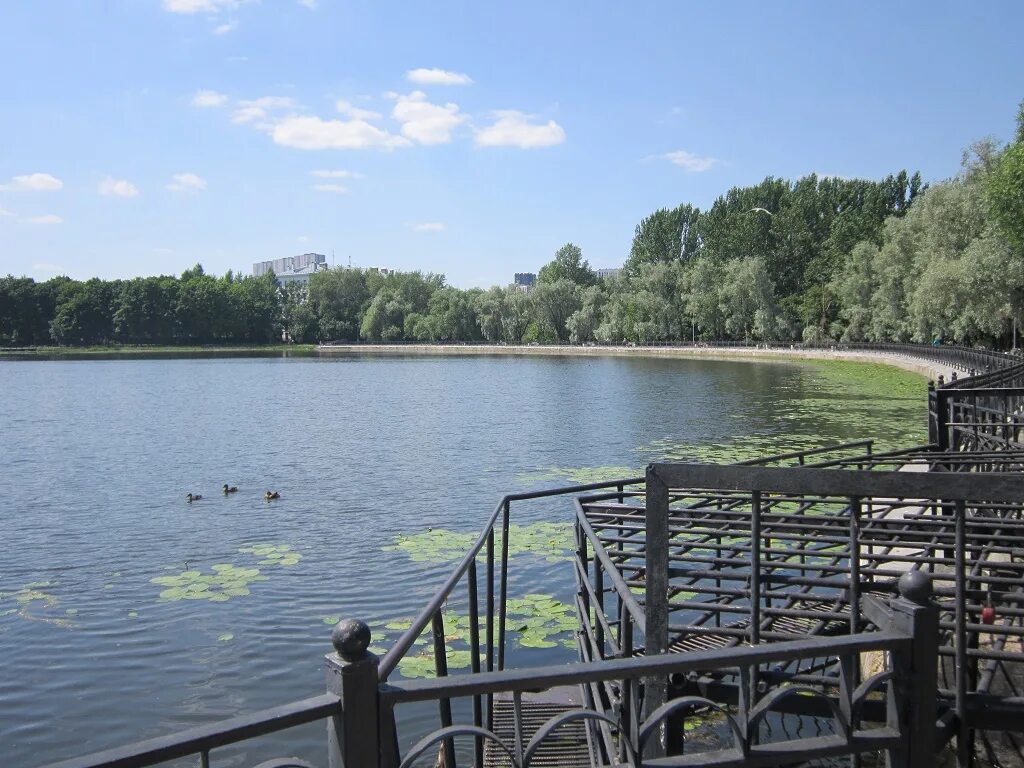 Головинские пруды парк. Головинский пляж. Головинский пляж. Головинские пруды парк. Парк михалково головинские пруды.