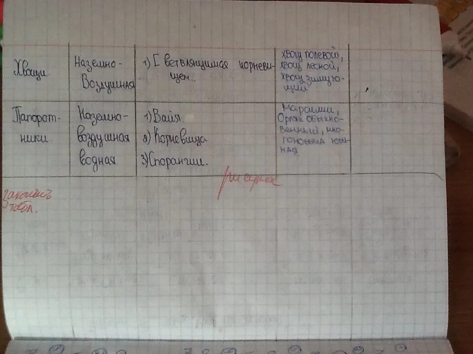 Составить таблицу сравнение плаунов и хвощей Pin by . on биохим Biology lessons, Biology, Anatomy bones