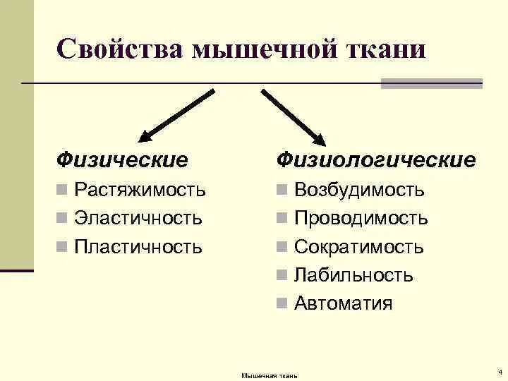 Свойства мышечной ткани. Физиологические свойства мышечной ткани. Физиологические свойства мышечной ткани физиология. Сократимость мышечной ткани.