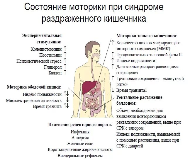 Признаки болезни кишечника у женщины. Синдром раздраженной кишки симптомы. Синдром раздраженного кишечника симптомы. Синдром раздраженного кишечника симптомы у мужчин.