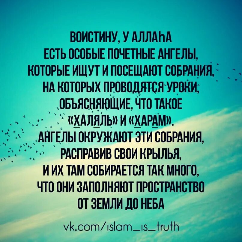 Аль гъиба. Хадисы. Мусульманские хадисы. Хадисы в картинках. Хадисы достоверные.