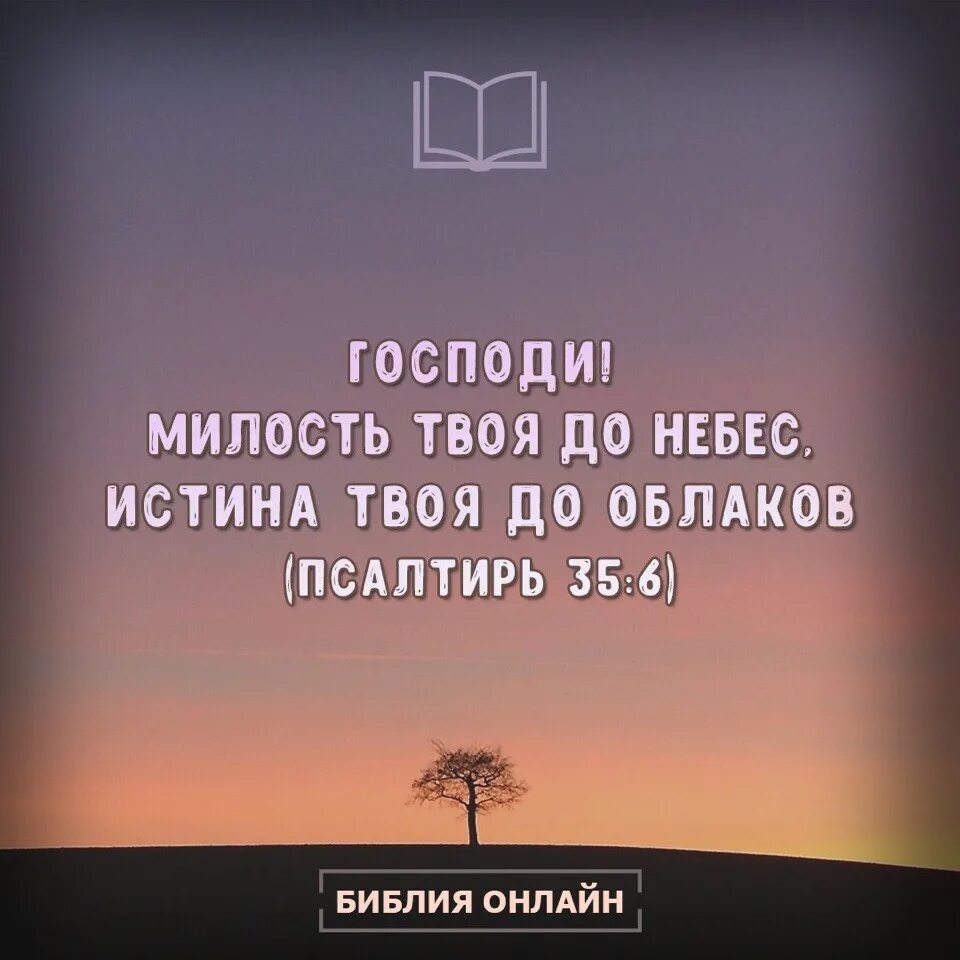 Небо правду знает небо верных принимает. Господи милость твоя до небес истина твоя до облаков. Милость твоя до небес. Милость Господа обновляется каждое утро. Господи милость твоя обновляется каждое.