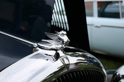 Значки на капотах автомобилей