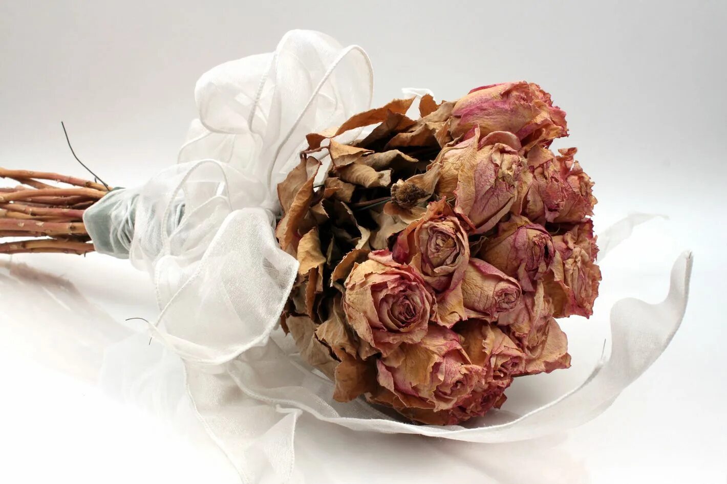 чтоб не вяли цветы. чтоб не вяли цветы. увядшие комнатные растения. чтоб не вяли цветы. букет увядших роз.