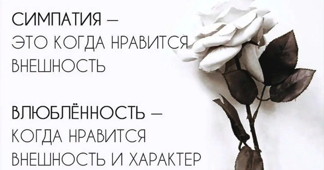 Симпатия что это такое. Симпатия влюбленность и любовь. симпатия это когда нравится внешность влюбленность это. симпатия это простыми словами. симпатия это когда нравится.