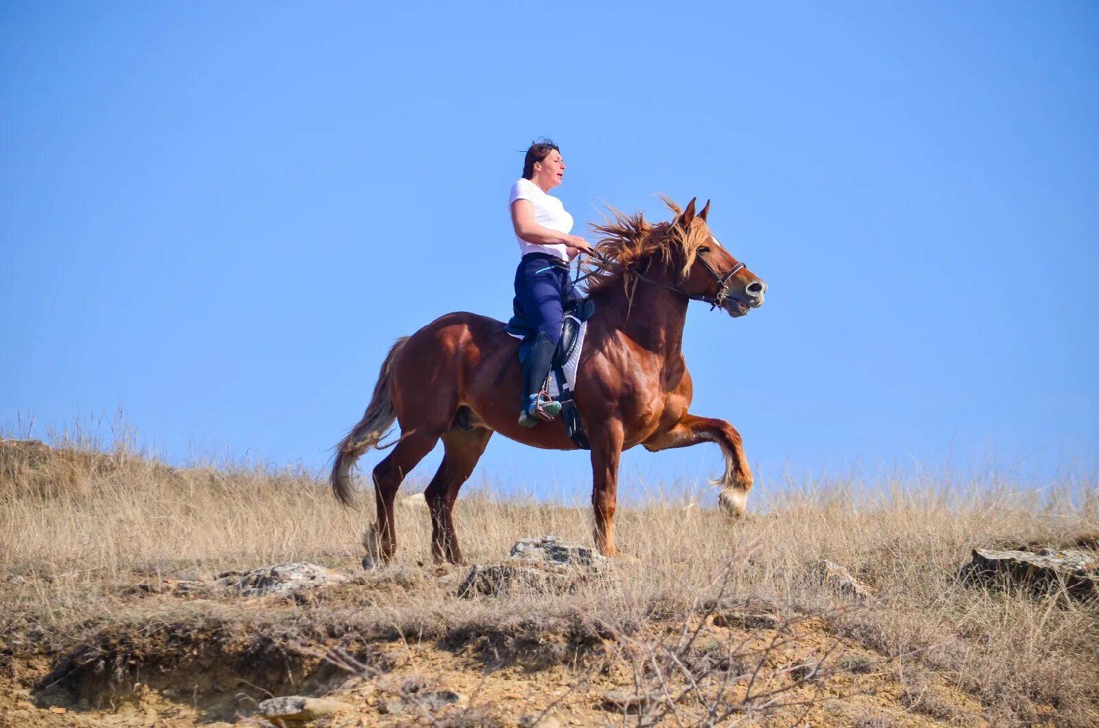 Конные прогулки в Крыму. Конная прогулка. Мирное конные прогулки Крым. Лошади в Крыму. Конные прогулки дон