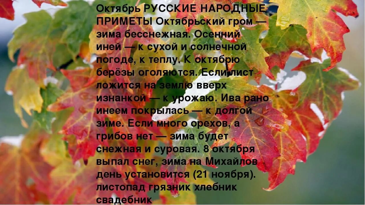 5 примет октября. Народные приметы октября. Октябрь приметы месяца. Русско народные приметы октябрю. Октябрь второй месяц осени.