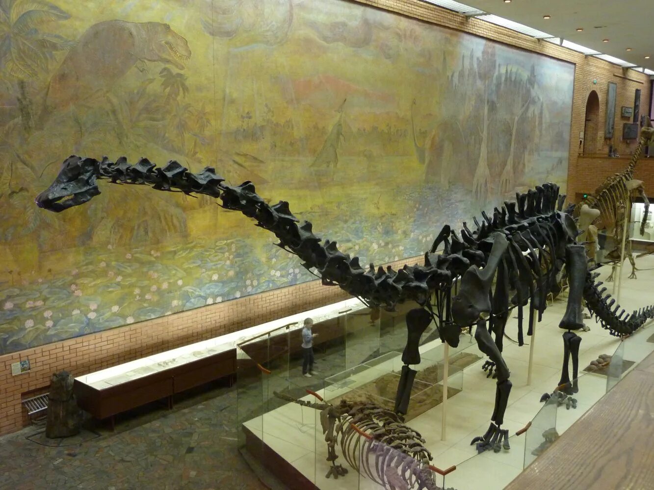 музей динозавров в москве 2023. палеонтологический музей скелет динозавра. а. археологический музей динозавров в москве. музей динозавров в москве 2023.