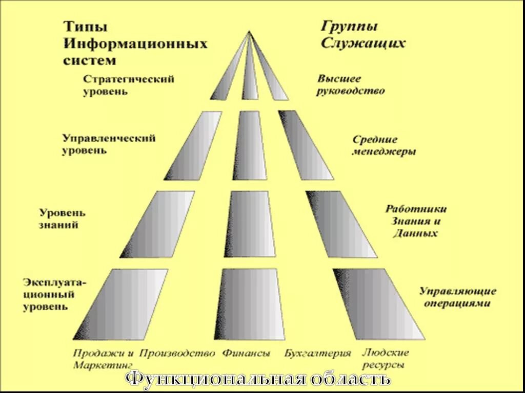 Системы уровней 7 класс. Типы информационных систем. Типы информационыых система. Типы информационных систем в организации. Перечислите типы информационных систем.