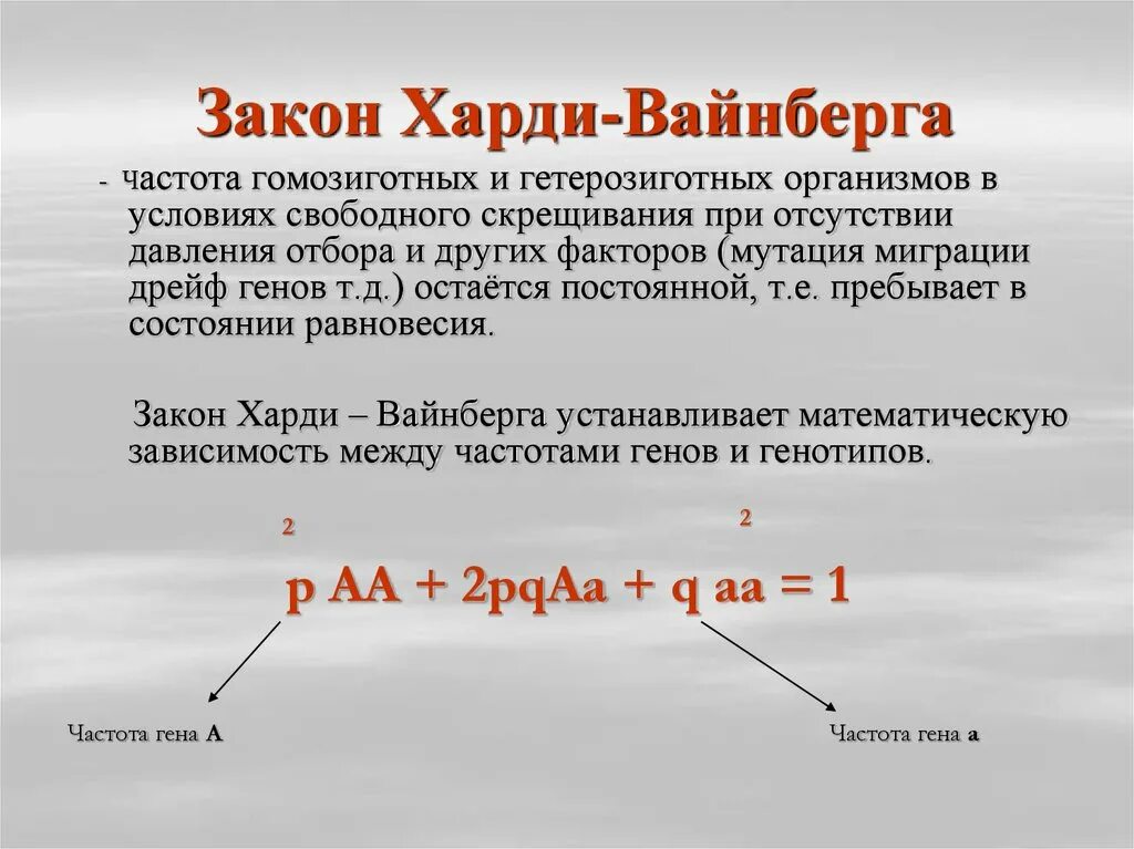 Задачи на закон харди вайнберга с решением. Харди-Вайнберга частоты аллелей. Харди Вайнберга для трех аллелей. Математическое выражение закона Харди Вайнберга. Популяционно-статистический метод закон Харди-Вайнберга.