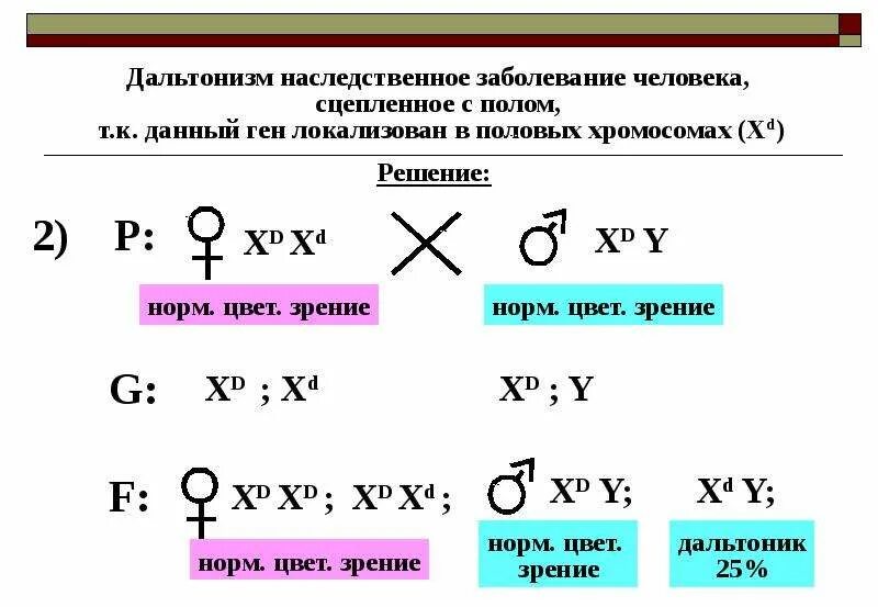 Задачи сцепленные с полом. Дальтонизм наследование сцепленное с полом. Дальтонизм сцеплен с полом. Дальтонизм заболевание сцепленное с полом. Метод наследования дальтонизма