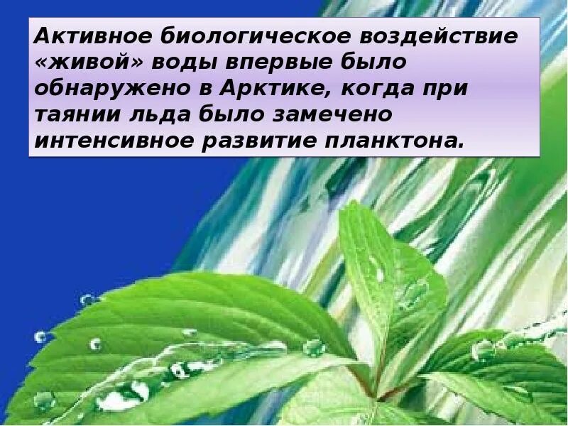 Живая вода история. Презентация на тему Живая вода. Сообщение вода Живая и мертвая. Живая вода и мертвая вода. Презентация на тему Живая и мертвая вода.