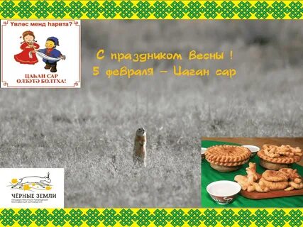Картинки с цаган сар