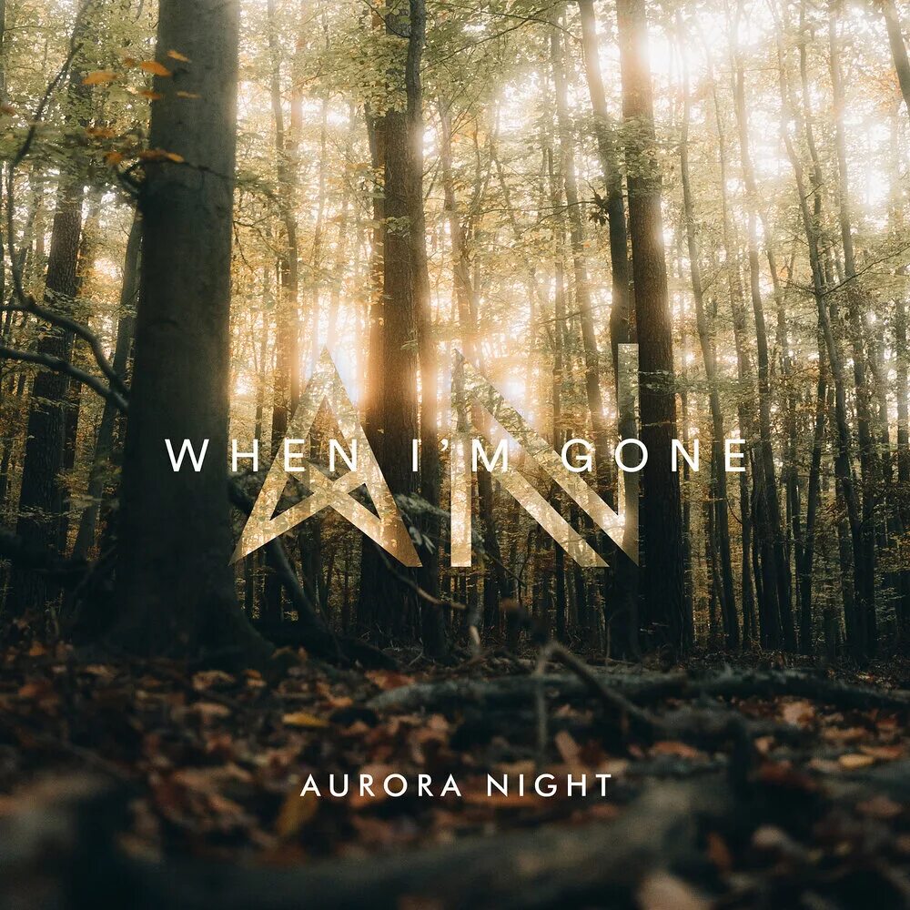 Aurora gone. Aurora night. alusion aurora night lyrics. st aurora going to heaven.