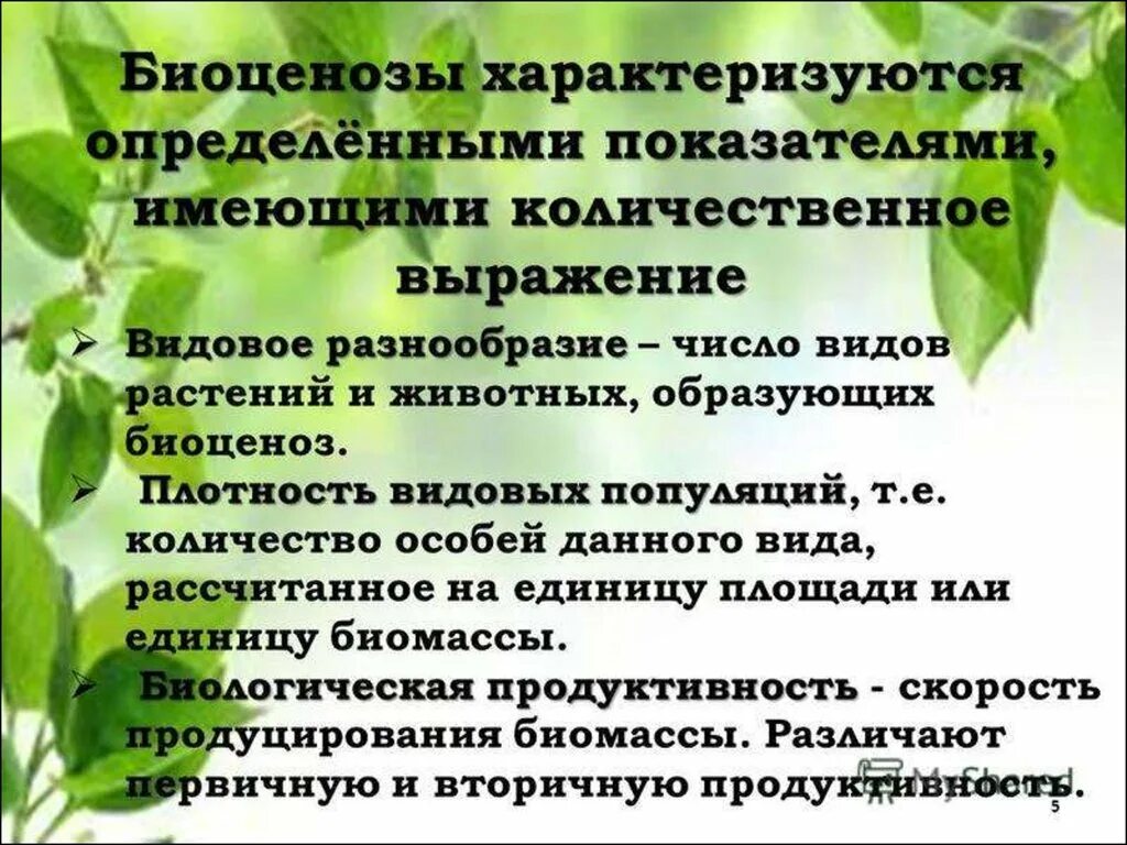 Биоценоз. Биоценоз характеризуется. Показатели биоценоза. Плотность биоценоза. Первостепенную роль в развитии биоценозов выполняют