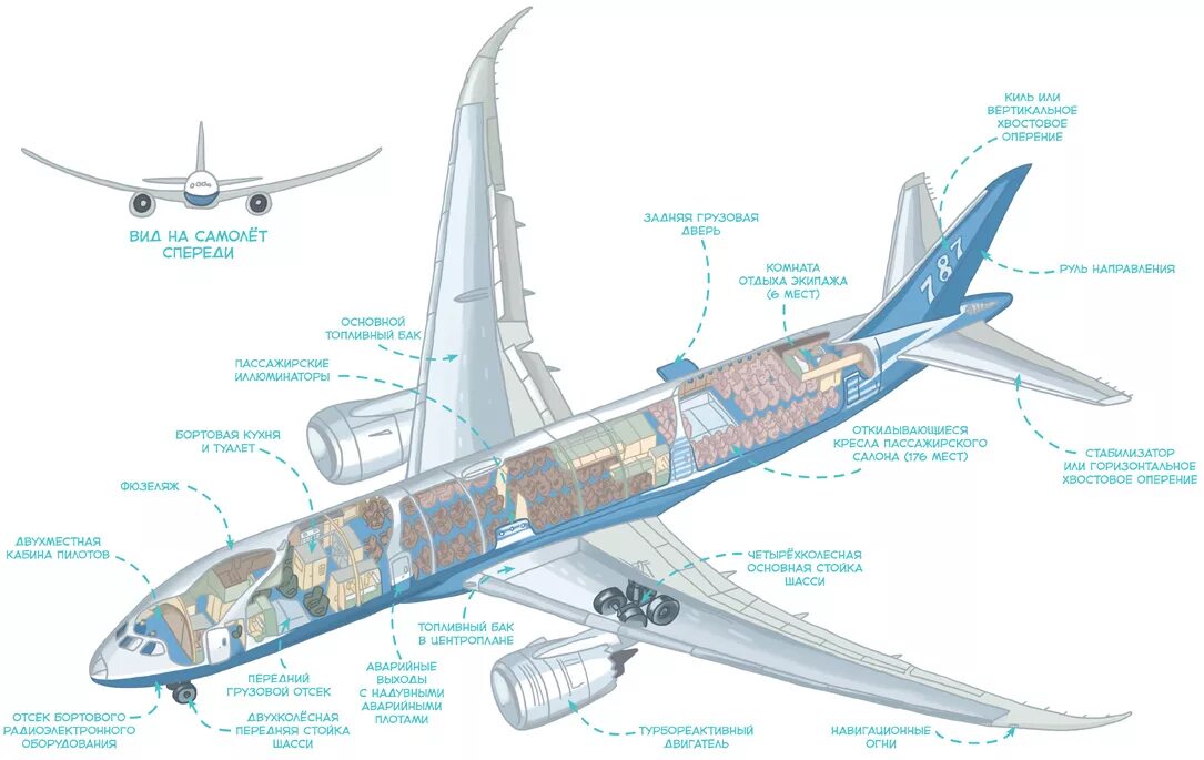 Где строят самолеты как называется. Boeing 787 сечение фюзеляжа. Боинг 787 схема салона. Боинг 787 шасси. Устройство пассажирского самолета.