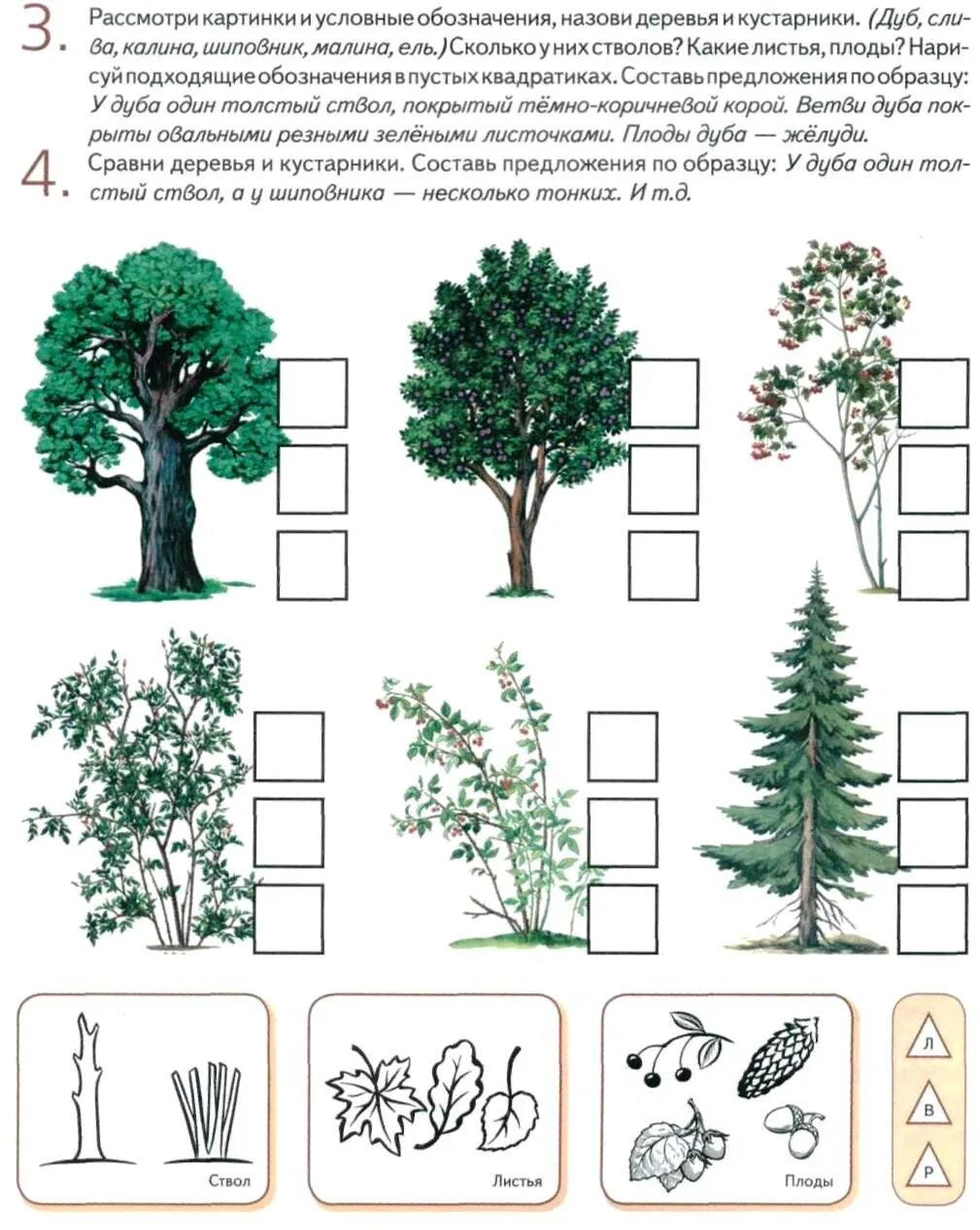 Арбекова деревья и кустарники. Арбекова тема деревья. Деревья задаиядля детей. Задания на тему деревья.