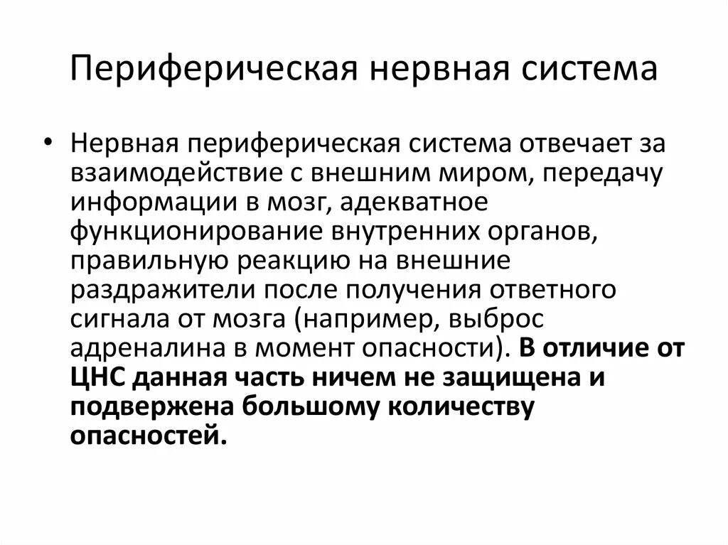 Какие функции выполняет периферическая нервная система. Периферическая НС функции. Функции периферической нервной системы. Периферическая нервная система отвечает. Периферическая нервная система функции кратко.