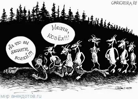 Анекдот волки волки