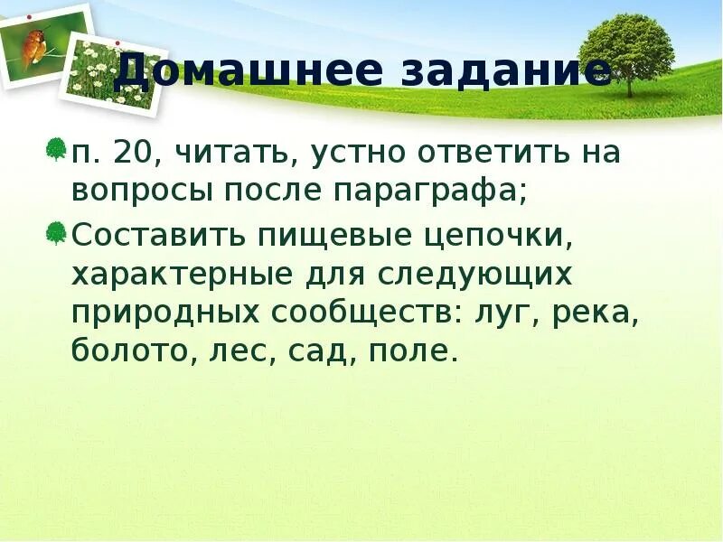 Вопросы на параграф природные сообщества. Цепочка природного сообщества поле. Природное сообщество сад. Пищевая цепочка луг река болото лес сад. Пищевые Цепочки луг река болото лес сад поле.