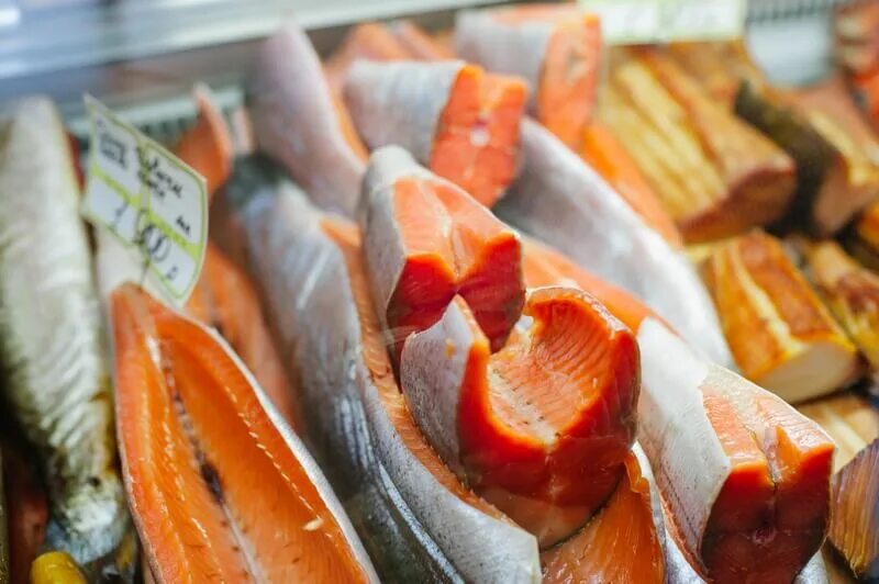 нерка рыба красная. камчатский лосось чавыча. нерка камчатка. черноморский лосось кумжа. нерка камчатка.