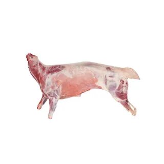 Продать мясо овцы