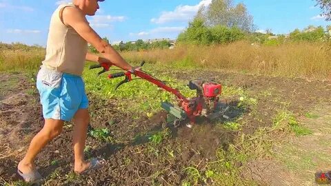 Сеять рожь ломая плуги