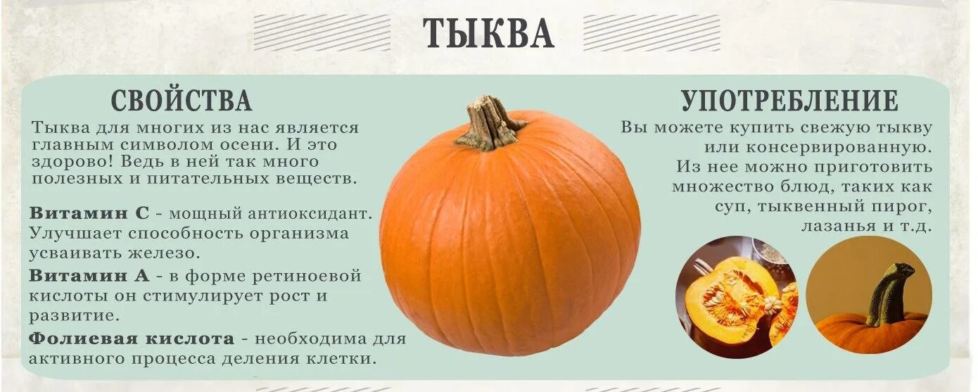 Тыква слабит. Характеристика тыквы биология. тыква полезные свойства. чем полезна тыква. полезные вещества в тыкве.