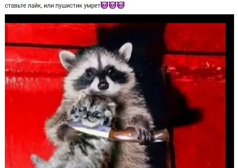 Дай мне денег и умри