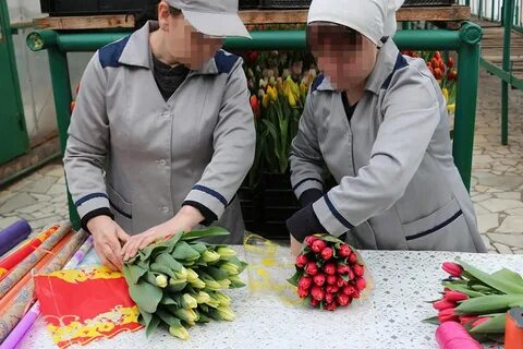 Цветы стерлитамак тюльпаны