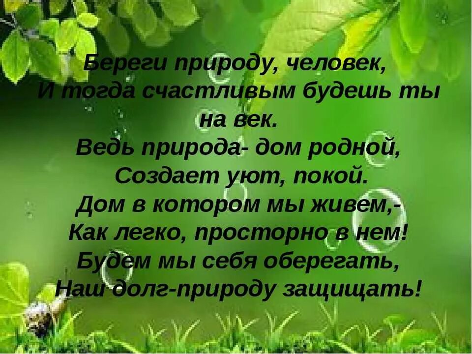 Текст по теме человек и природа. Стих берегите природу. Красивые стихи о природе. Стих беречь природу. Стих береги природу.