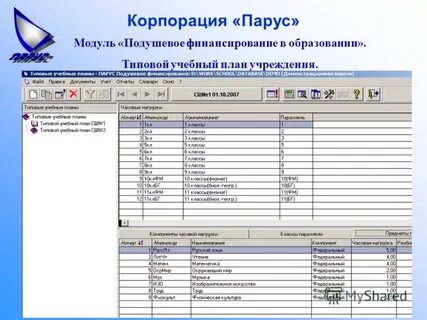 Парус каз