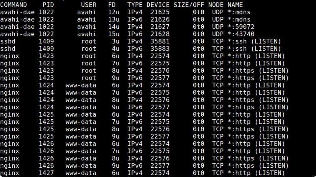 Linux занятые порты. Открытые Порты Linux. Просмотр открытых портов Linux. Пример команды Port. Sudo LSOF -I -P -N | grep listen что значит.