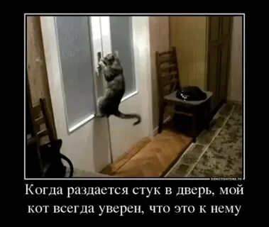 Дверь не туда