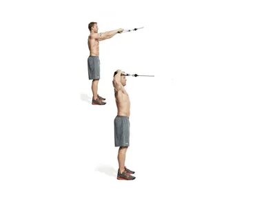 Face pulls