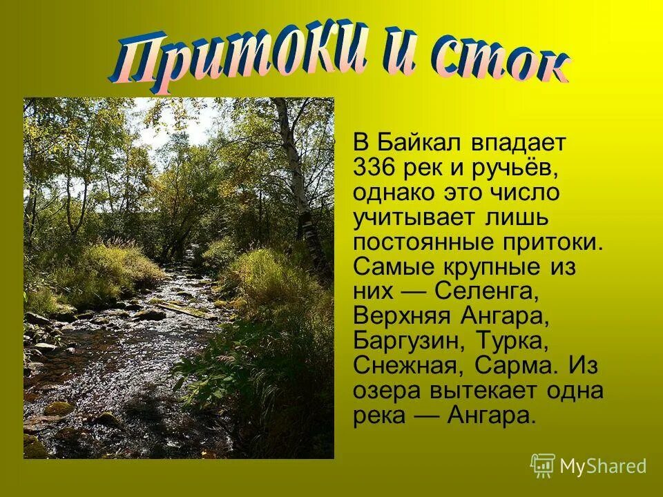 Река несёт свои воды. Лес ручей башкирия. Река и маленькие ручейки. Ручейки. Река может впадать в ручей.