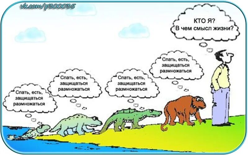 В чем смысл иллюстраций. В чем смысл жизни. в чем смысл жизни картинки. в чем смысл. смысл жизни человека.