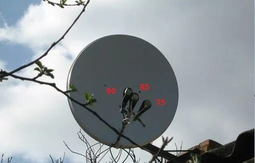 Рен тв обложки. Антенна рен тв. Мультифид 75 80. Антенна рен тв. Телеканал рен тв.