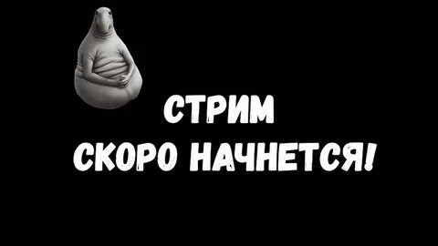 Скоро стрим