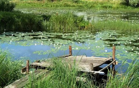 Ровно реки