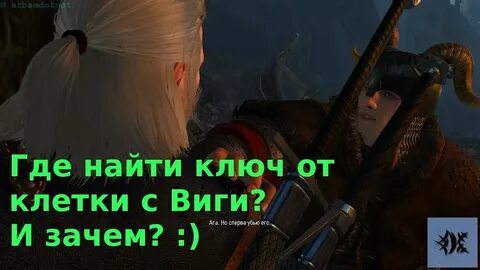 Двимерит ведьмак 3