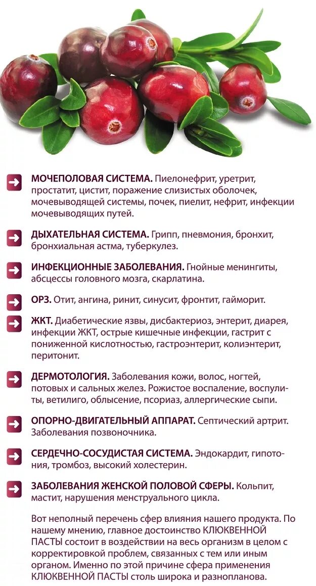 Чем полезна клюква. Действие клюквы. Клюква полезные свойства. Действие клюквы. Клюква полезные свойства.