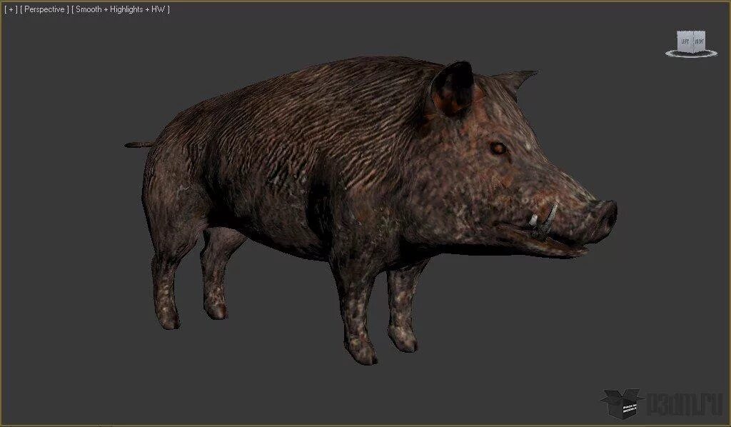 кабаны геншине. король кабанов геншин импакт. король кабанов геншин импакт. кабан геншин импакт. кабанчик геншин.