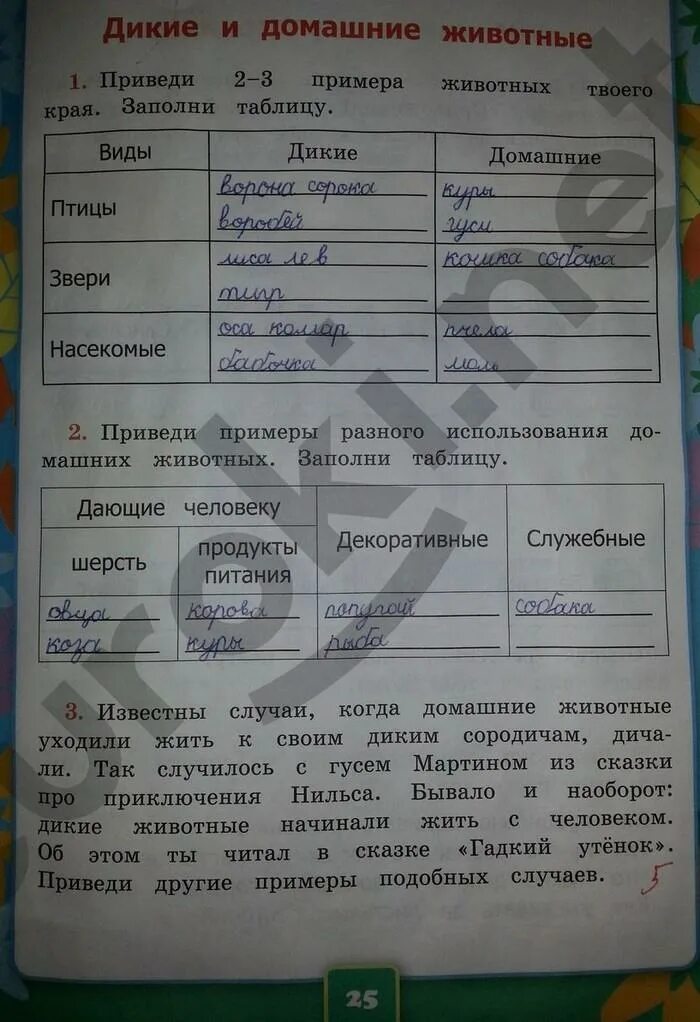 Окружающий мир страница 23 упражнение 2. Окружающий мир 2 класс рабочая тетрадь. окружающий мир 2 класс рабочая тетрадь ответы. окружающий мир. рабочая тетрадь. 1 класс. часть 2. гдз по окружающему миру 2 класс рабочая тетрадь плешаков.