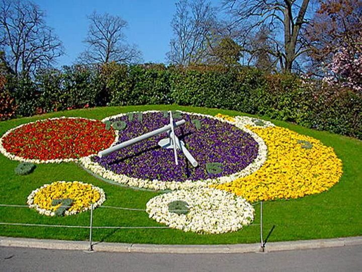 цветочные часы карла линнея. карл линней цветочные часы. город упсала в швеции цветочные часы. нидерланды парад цветов 2020. кёкенхоф нидерланды парад цветов.